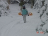 normal_DSC00026